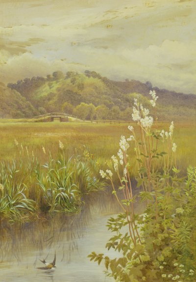 Lungo il fiume da Charles Robertson